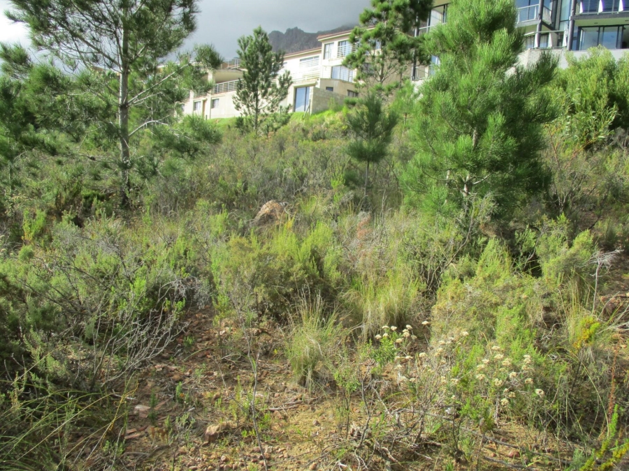 0 Bedroom Property for Sale in Mountainside Western Cape